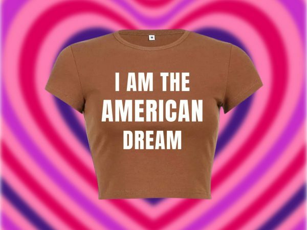 American Dream Y2K Crop Tee, 90s Slogan Aesthetic Fashion, 2000s Letter Print Streetwear