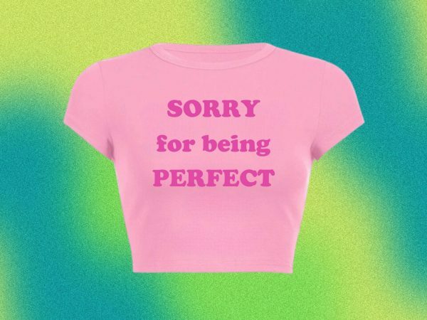 Perfect Baby Funny Slogan Crop Tee Y2K Punk Graphic T-Shirt Slay Girl Top