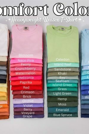 Sul Sul & Daisy Y2K Streetwear Comfort Colors Retro Tee