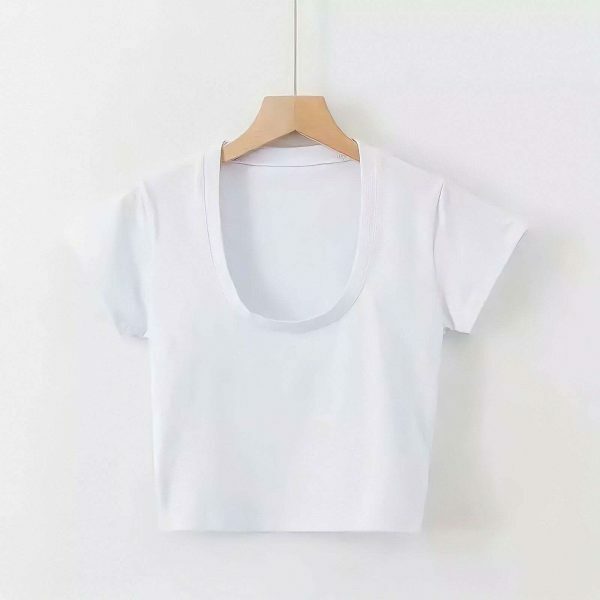 Y2K Aesthetic Cropped Tee Women's Streetwear Top