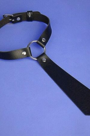 Y2K Punk Style Leather Collar Necklace Choker Chain