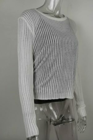 Y2K Sheer Mesh Transparent Top