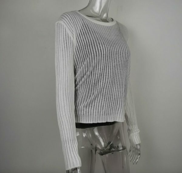 Y2K Sheer Mesh Transparent Top